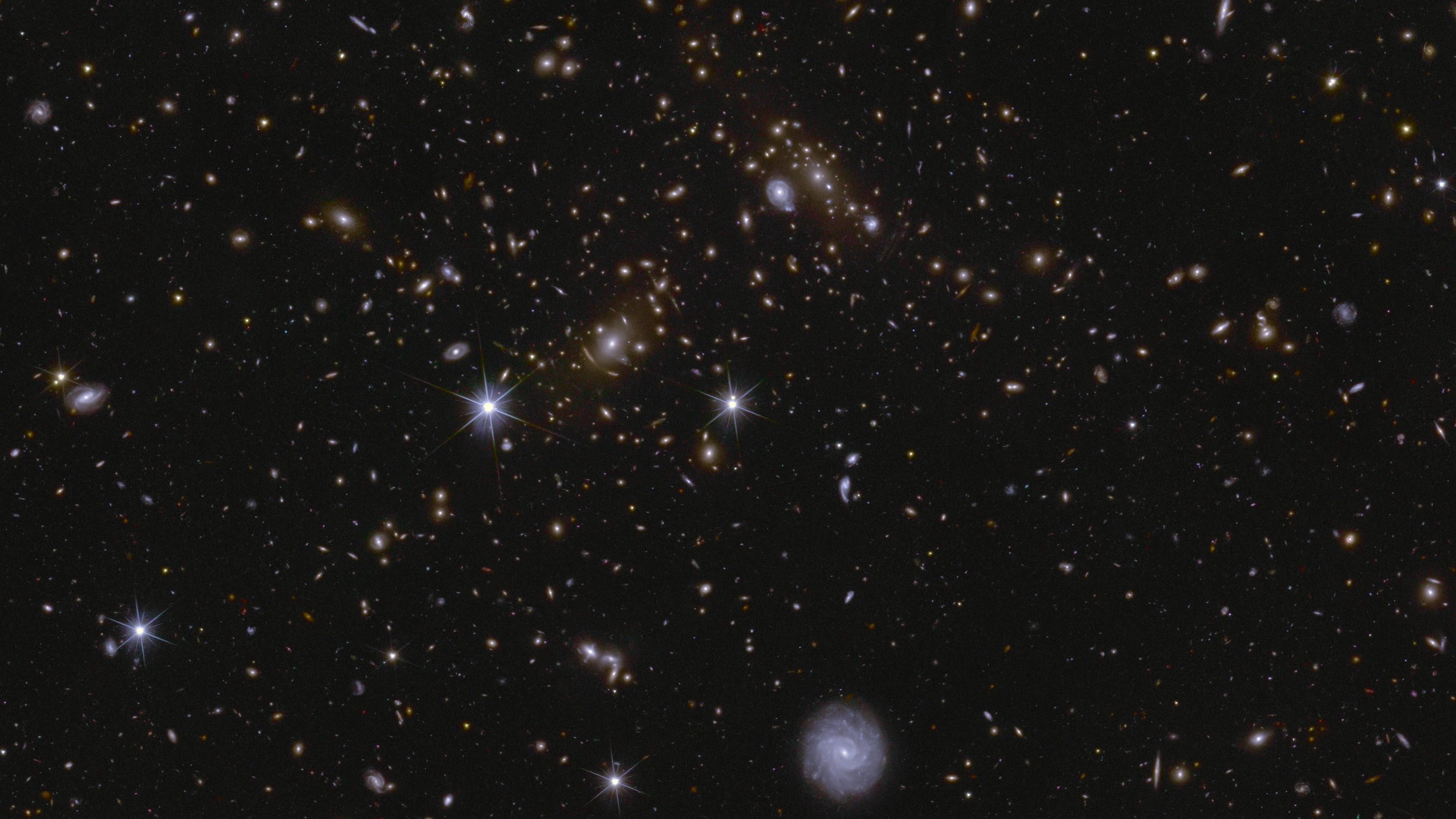 Hunderte von Wirbeln aus farbigem Licht auf schwarzem Hintergrund.